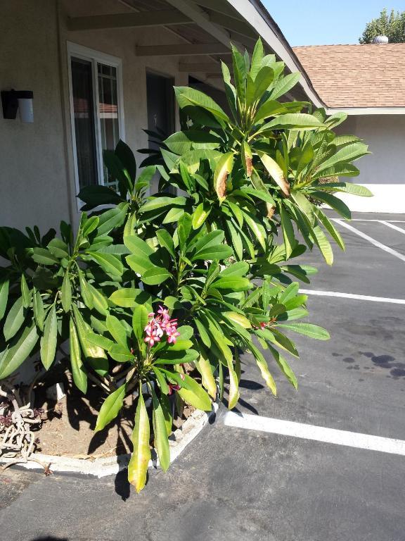 New Kansan Motel Rancho Cucamonga Luaran gambar